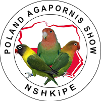 Poland Agapornis Show